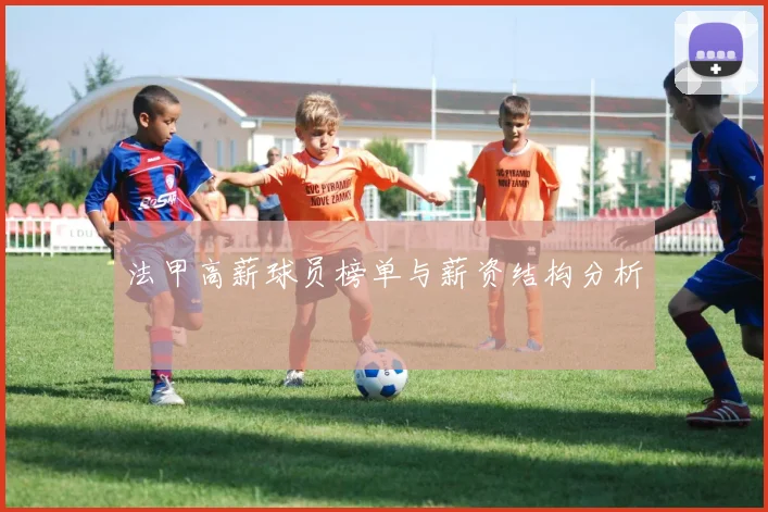 法甲高薪球员榜单与薪资结构分析