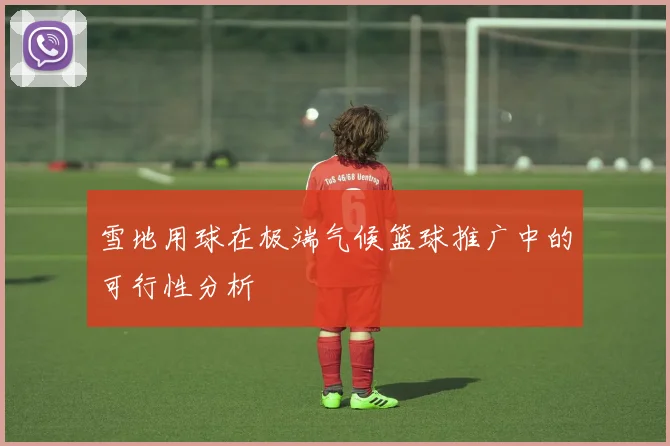 雪地用球在极端气候篮球推广中的可行性分析