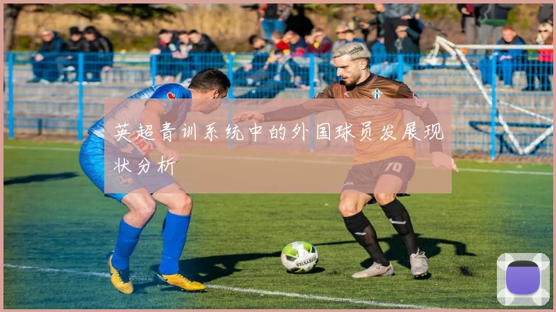 英超青训系统中的外国球员发展现状分析