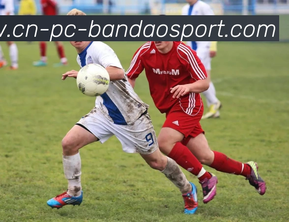 半岛体育品牌故事