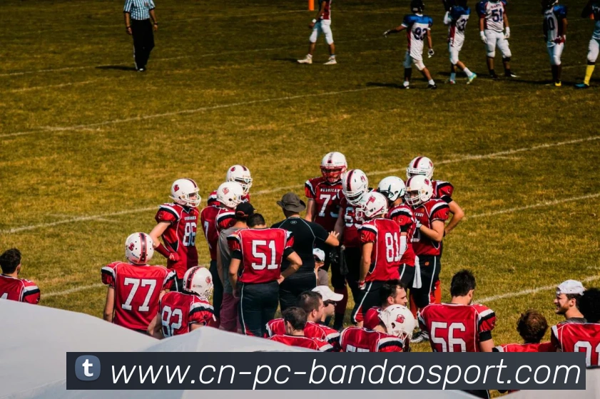 半岛体育服务体系